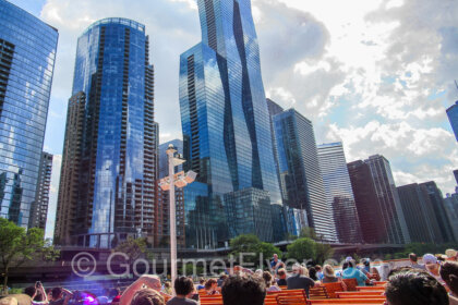 View of Chicago's skyline from the river cruise