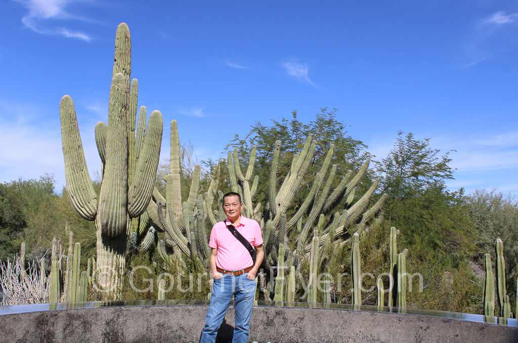 The Gourmet Flyer posing with cactus in the background.