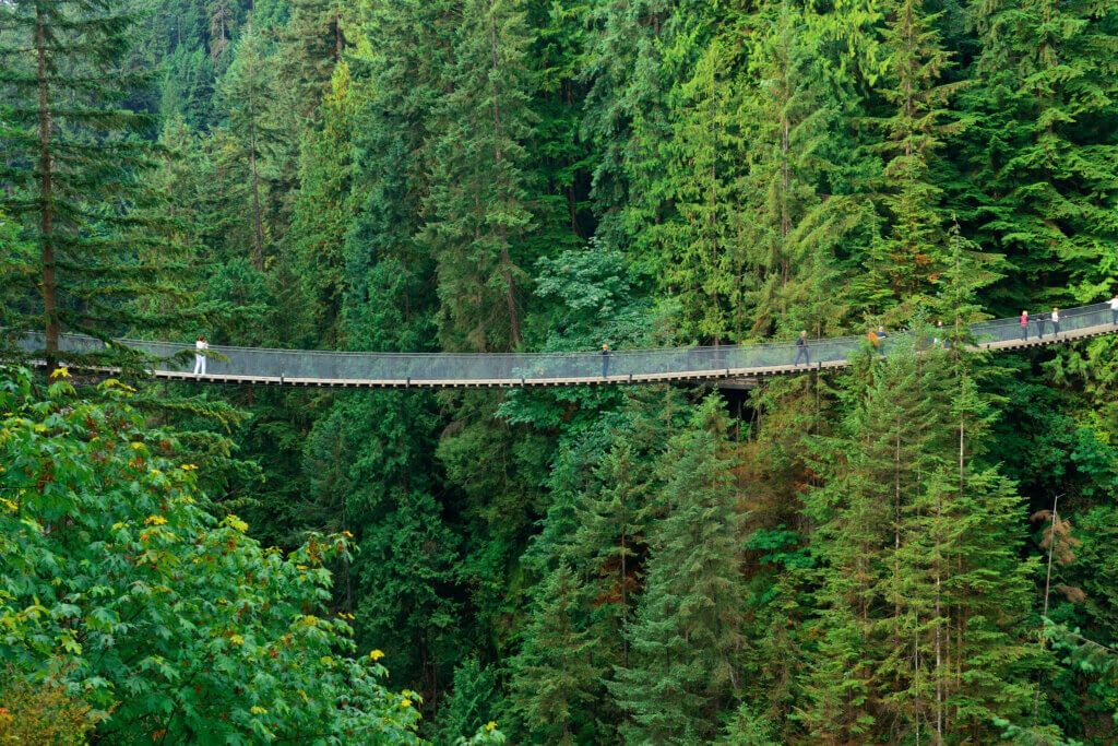 The Capilano Suspension Bridge view from afar.