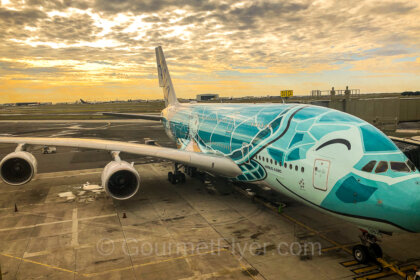 Review of ANA Premium Economy Honolulu route features an Airbus A380 double-decker with Hawaiian livery.