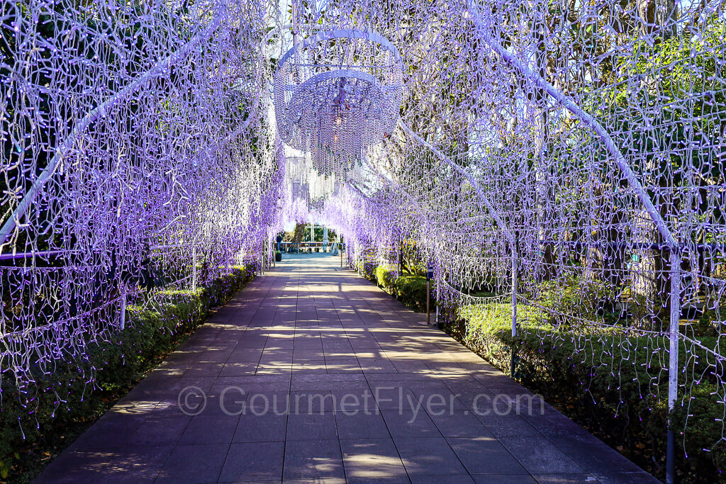 Purple lightings hang from the top of a pathway in a dome like shape, which prepares for an illumination event.