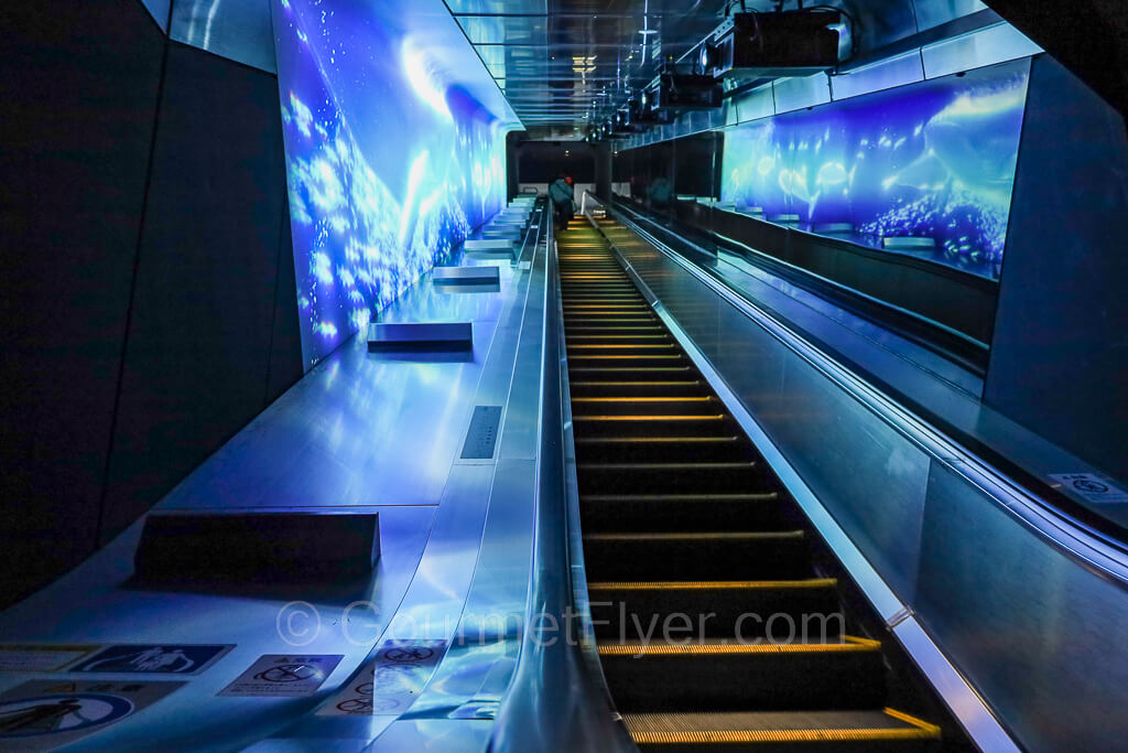 An escalator with blue and purple illuminations on both walls on the sides.