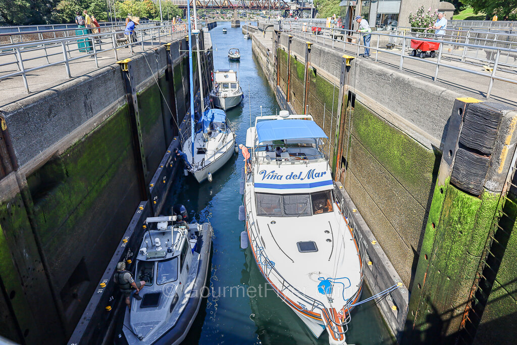 Boats line up in a narrow canal with shallow water waiting to cross the Locks from Puget Sound to Lake Union.
