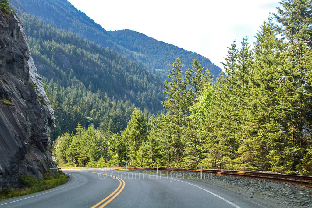 A curvy two-lane road with double yellow lines in the middle is lined with tall and green trees on the right.