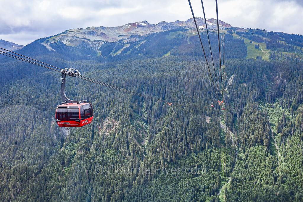 A red Peak 2 Peak gondola is traveling over an alpine forest and between mountains slightly covered with snow.