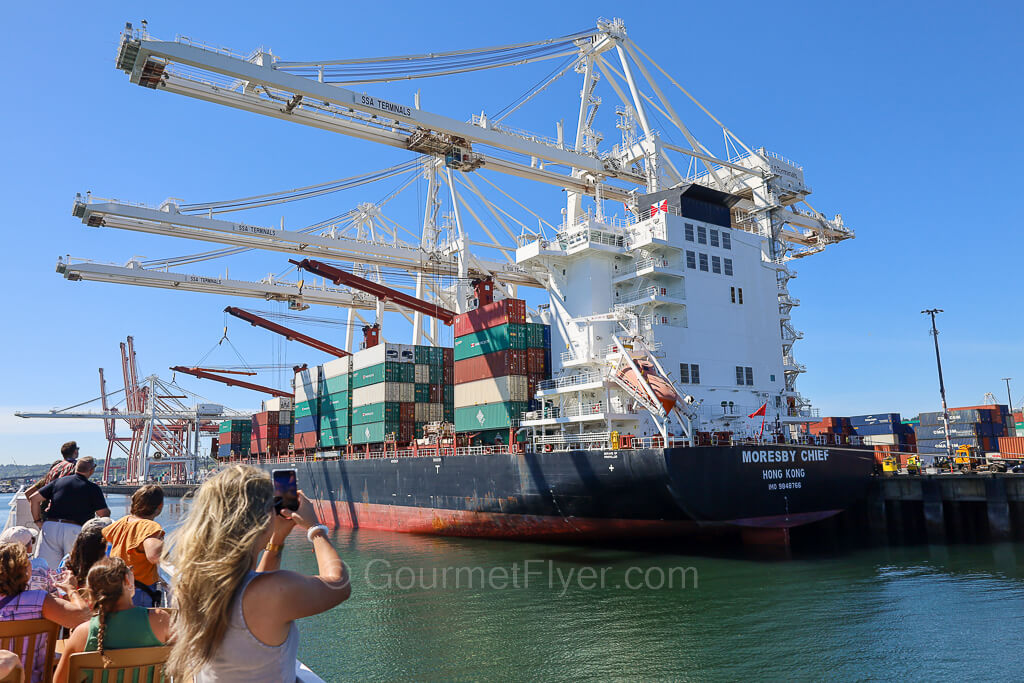 Tourists on the open-air deck of a boat are taking pictures with their phones as the boat passes by a container ship at the terminal with cranes on top.