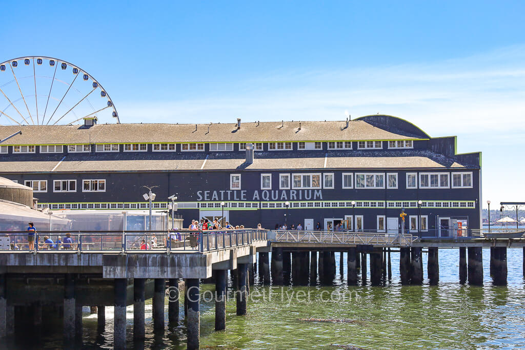 The brown building of the aquarium in Pier 59 is seen extending into the sea with a Ferris wheel in the background.