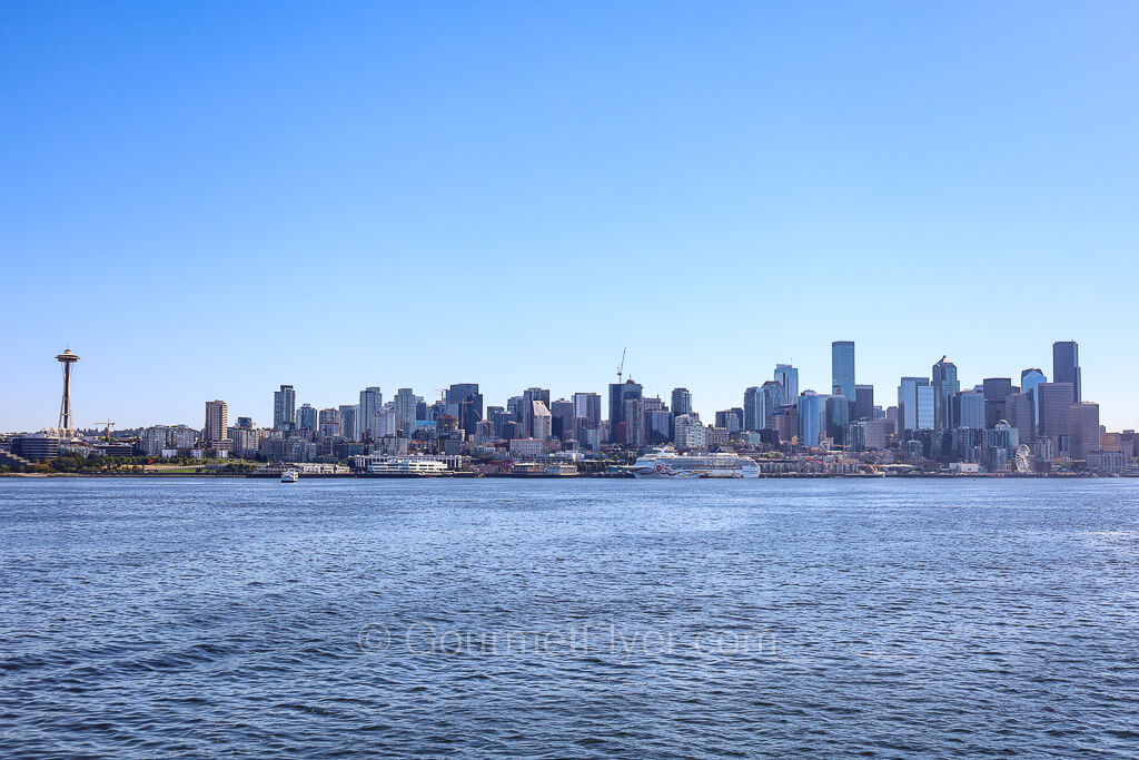 The waterfront and skyline of Seattle with the Space Needle to the left and the piers in the middle as viewed from the waters.