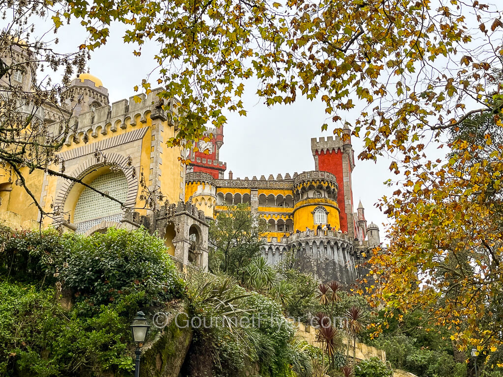 A colorful palace up the hill is seen through trees and branches with leaves.