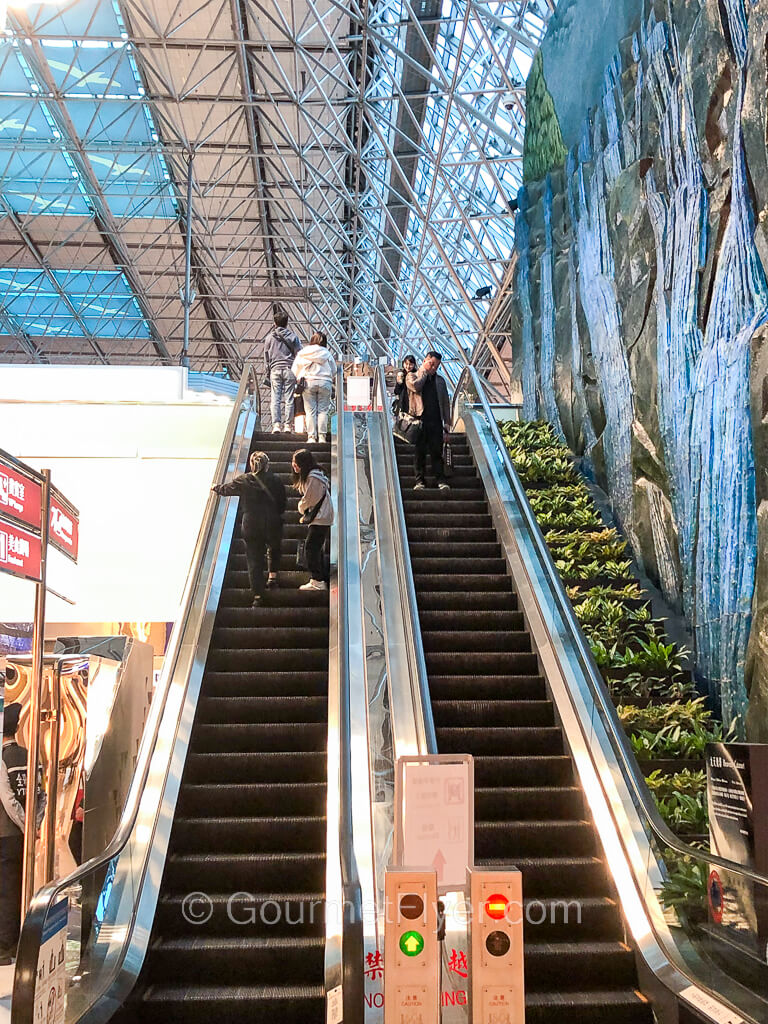 Passengers are ascending and descending on a pair of escalators at an airport terminal.