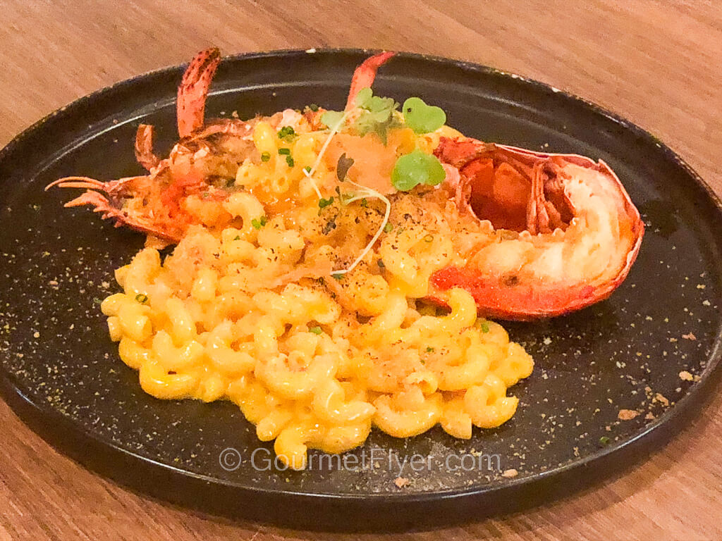 A half lobster is split down the middle vertically and accompanied by mac n cheese.