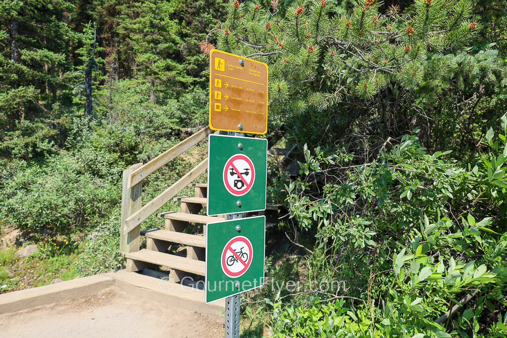 A wooden staircase enclosed in a mass of trees and bushes has a series of metal signs in front of it.