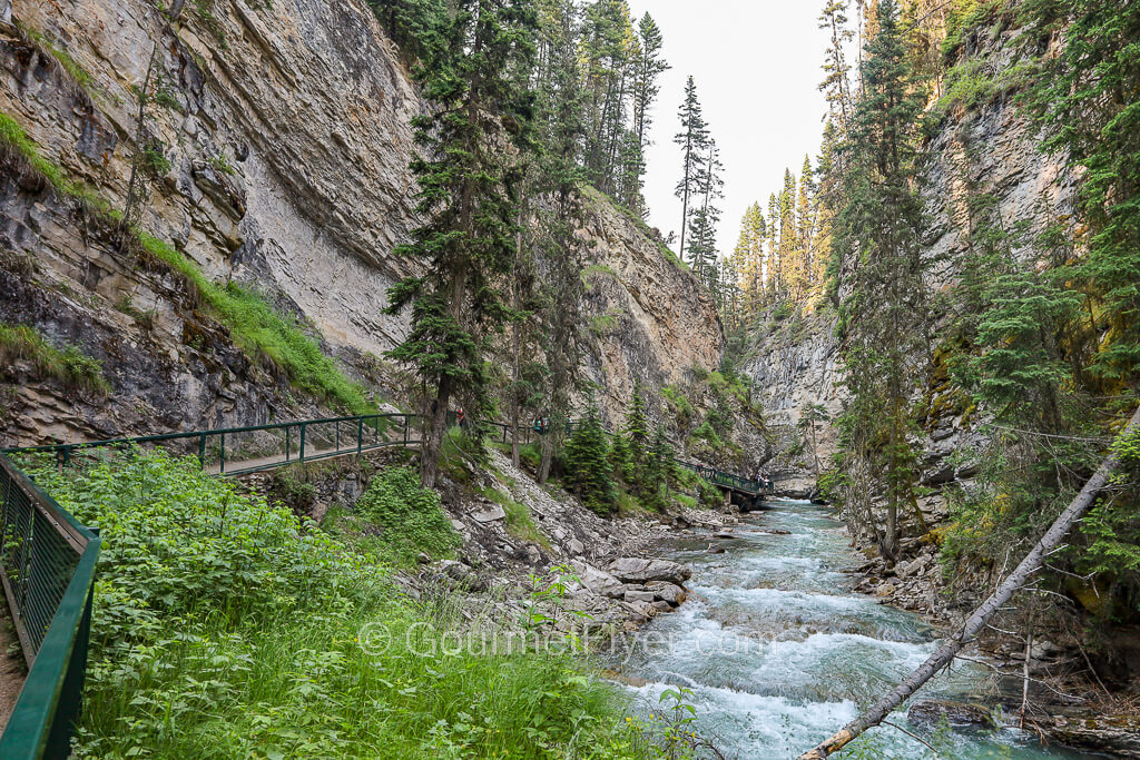 Water flows down a narrow creek with rocks and trees lining both sides.