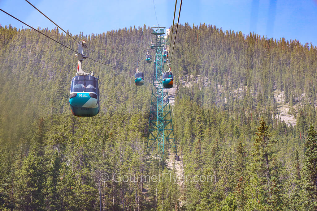 Two sets of gondolas run up and down the mountain slope of Alpine forests.