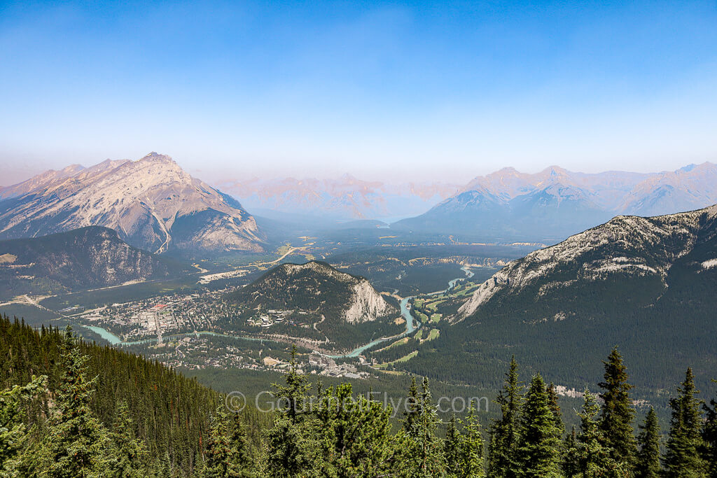 A scenic view atop a summit of Alpine forests in the foreground and misty mountains in the background.