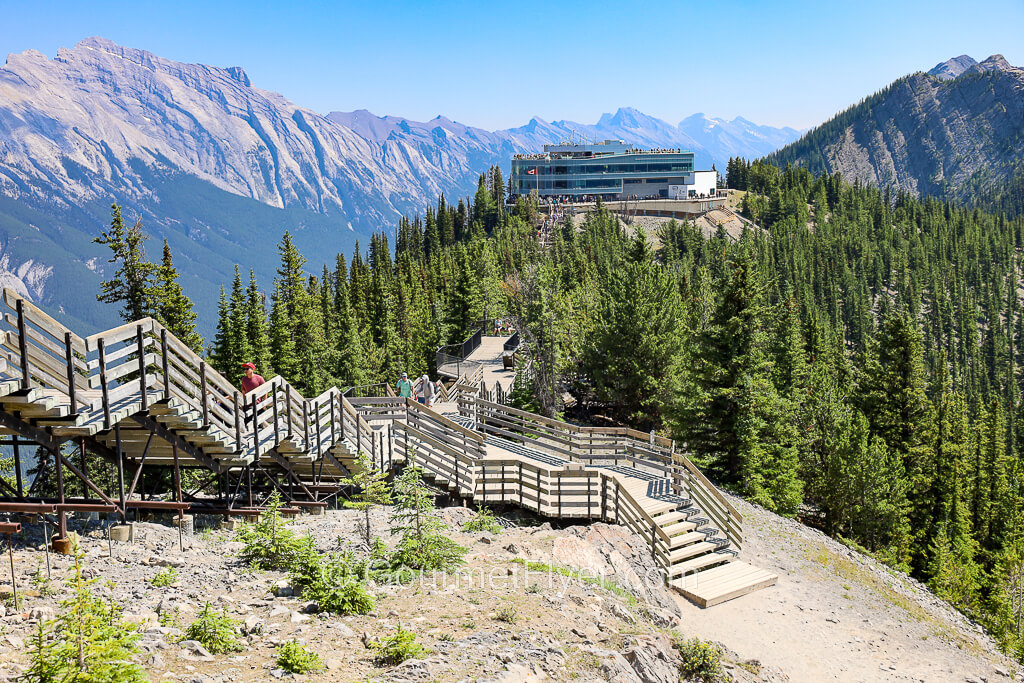 A set of downhill staircases cut through Alpine trees to descend to a three-story building with the Rocky Mountains in the background.