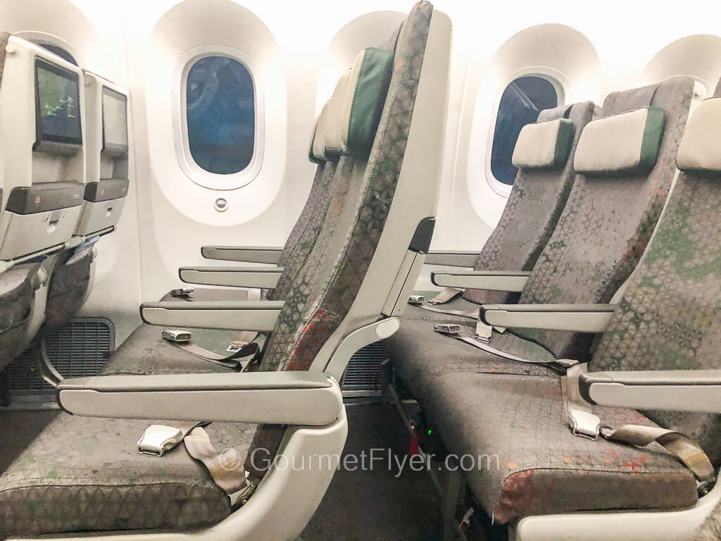 Two rows of seats are shown on the right side of the plane by the windows that are tinted.