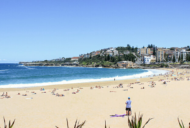 Dozens of sunbathers are laying down in a beach with soft yellow sand.