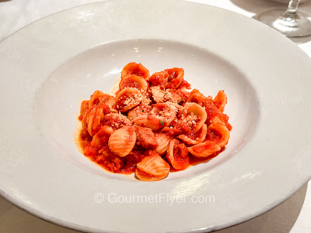 Small cone-shaped pasta shells are mixed with a red sauce and served in a shallow bowl.